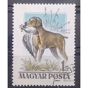 1956. Magyarországi kutyafajták (1) 1ft-os bélyeg tarajos réce tévnyomat Pecsételt